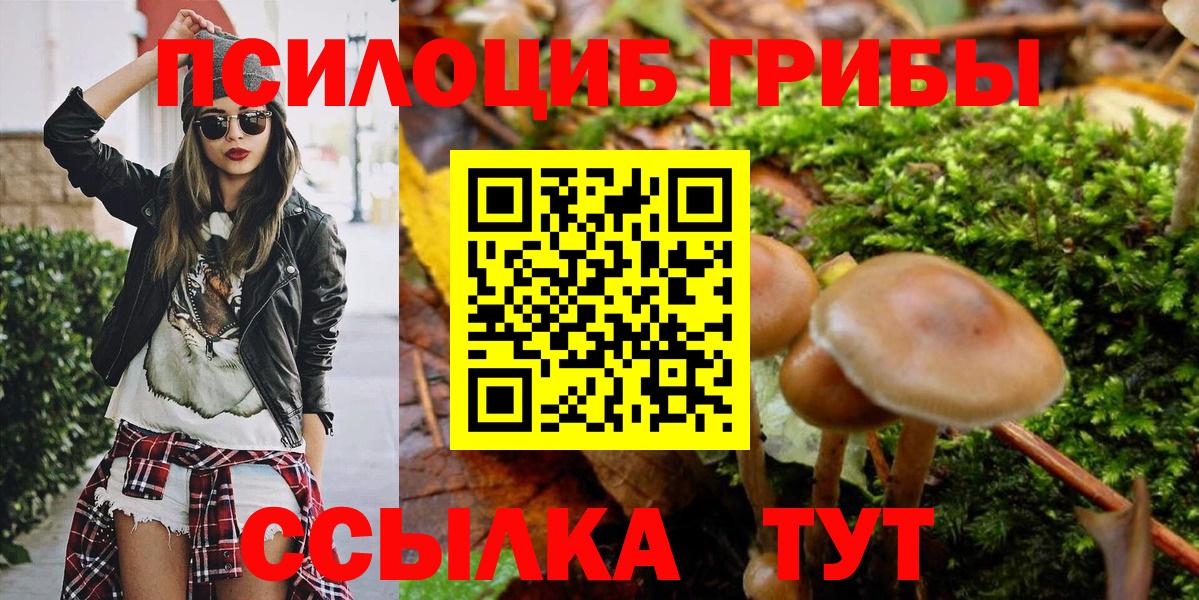 Псилоцибиновые грибы Psilocybine cubensis Видное