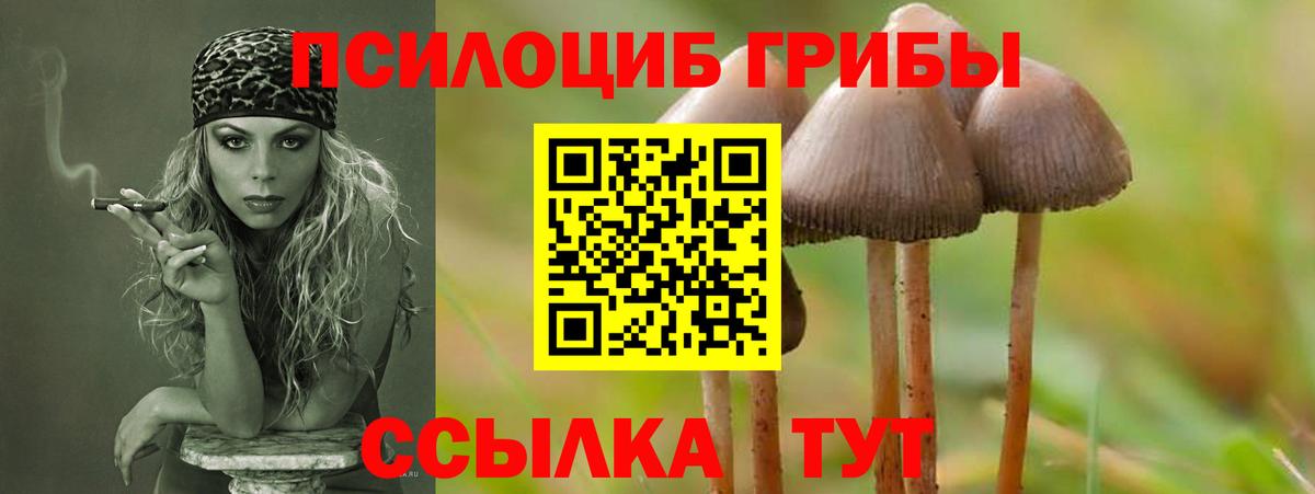 купить  сайты  Галлюциногенные грибы ЛСД  Вход с VPN  Видное 